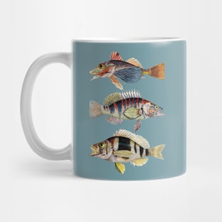 Musical Fish In Harmony Mug